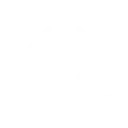 Professionelle Webentwicklung in Wien für WordPress und individuelle Funktionen